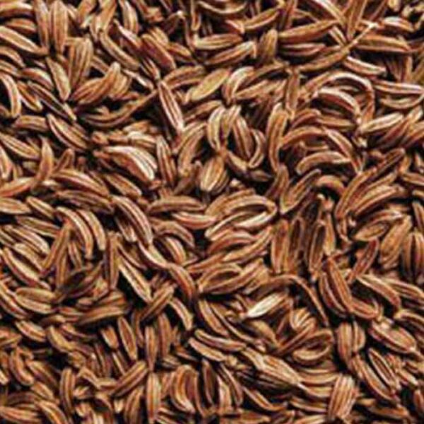 Caraway Seed