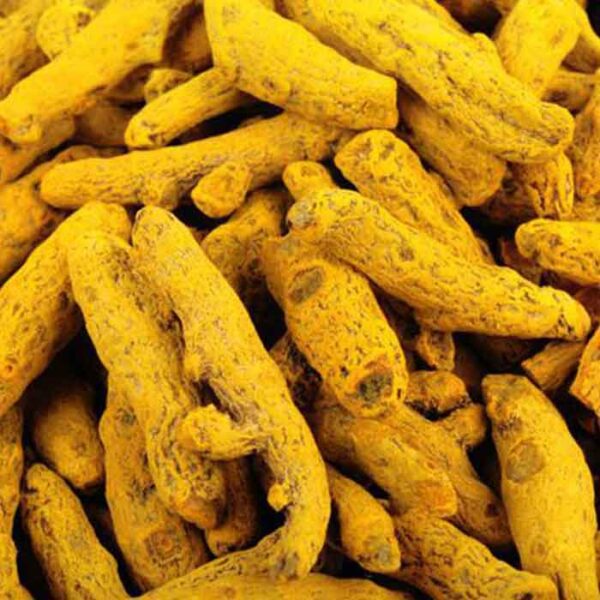 Turmeric