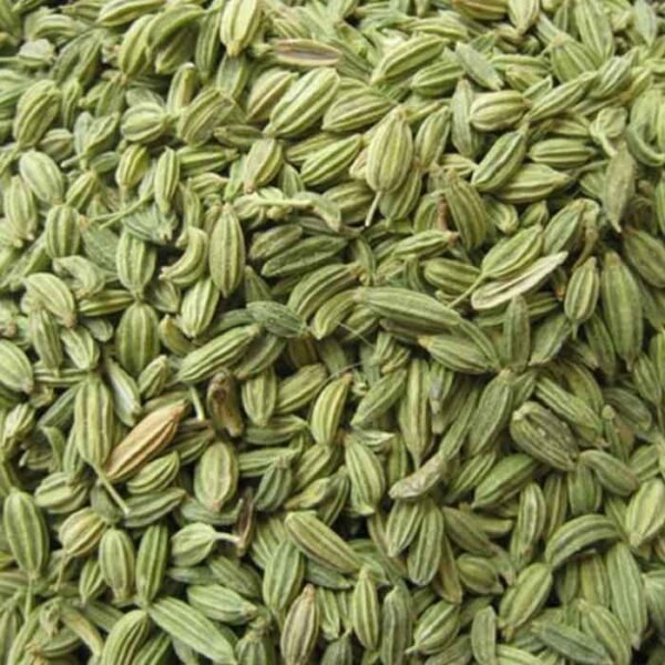 Fennel Seeds