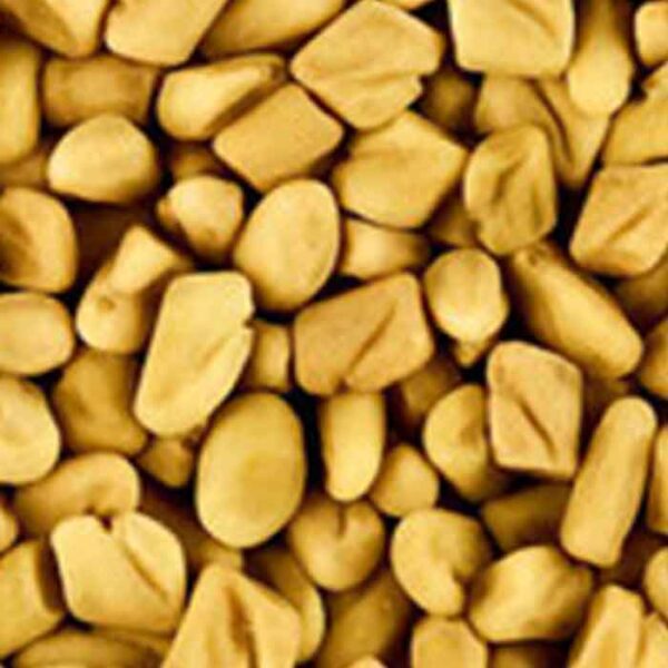Fenugreek Seeds